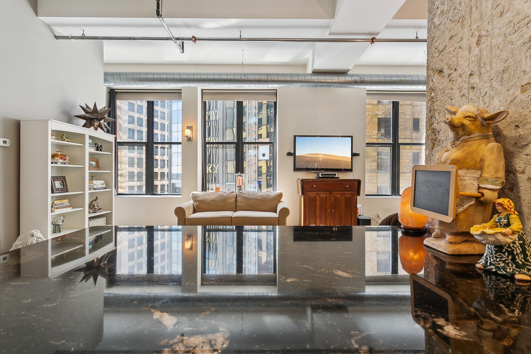View of Residential at 350 Saint Peter Street #506, Saint Paul MN 55102, Saint Paul - Mike Wilen | Minnesota Team Real Estate