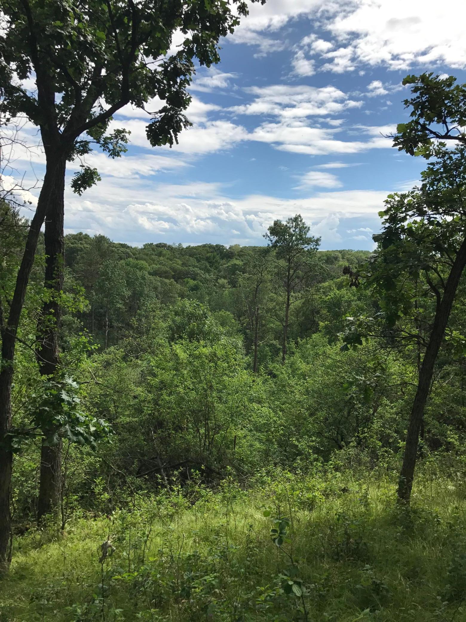 View of Land at xxx Tanglewood Lane, Marine On Saint Croix MN 55047, Marine On Saint Croix - Mike Wilen | Minnesota Team Real Estate