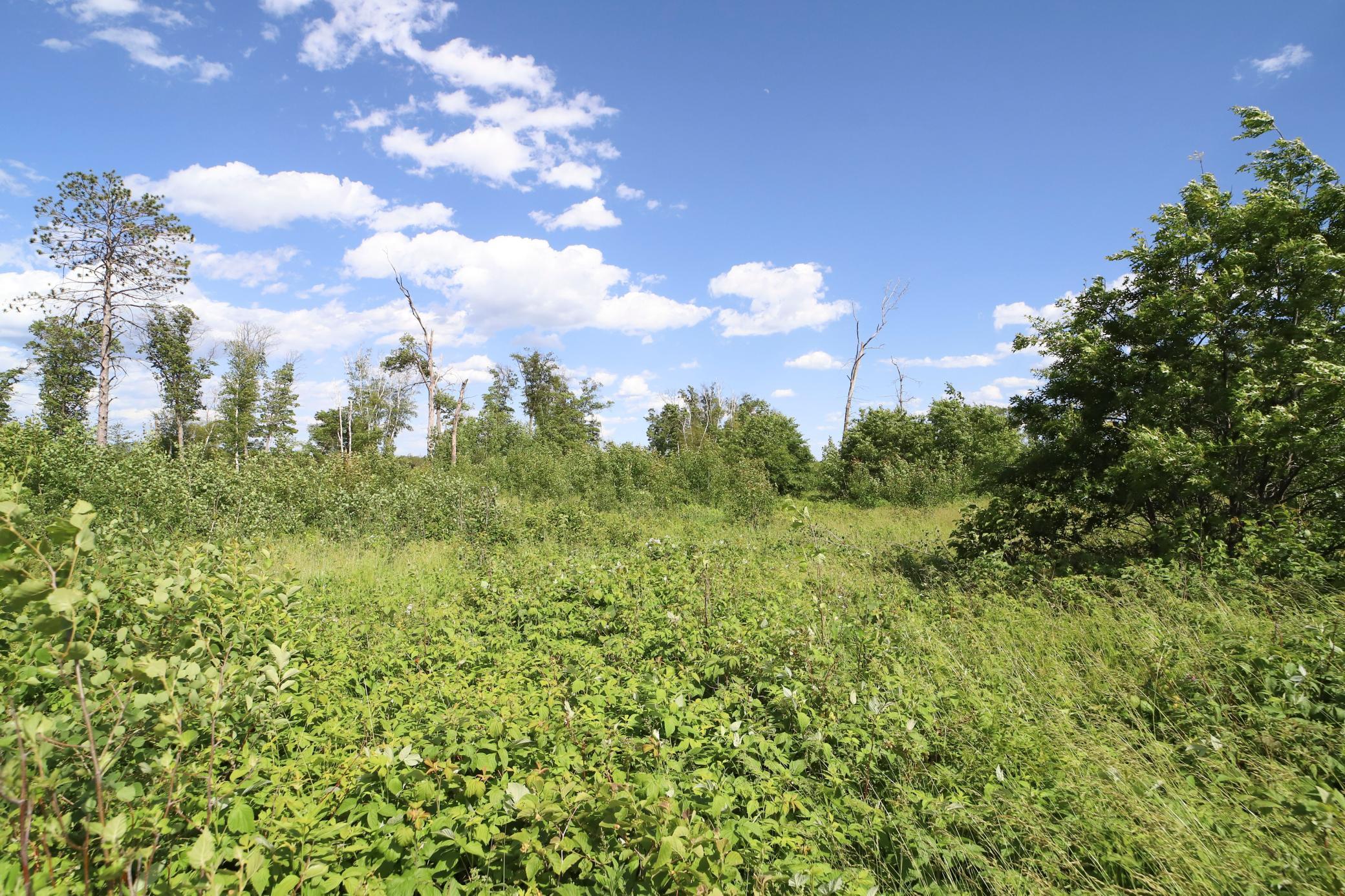 View of Land at 3651 Tradition Drive, Brainerd MN 56401, Brainerd (11 of 19) - Mike Wilen | Minnesota Team Real Estate