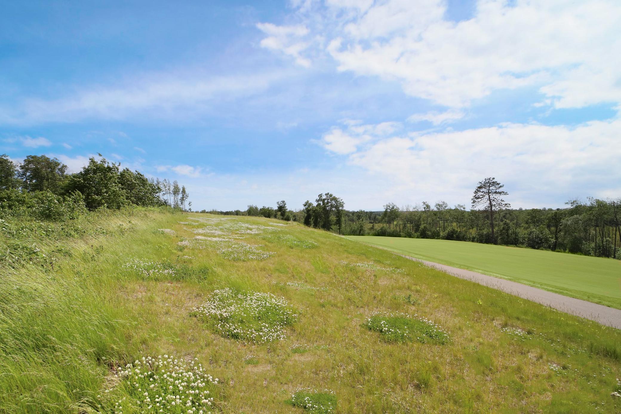 View of Land at 3651 Tradition Drive, Brainerd MN 56401, Brainerd (2 of 19) - Mike Wilen | Minnesota Team Real Estate
