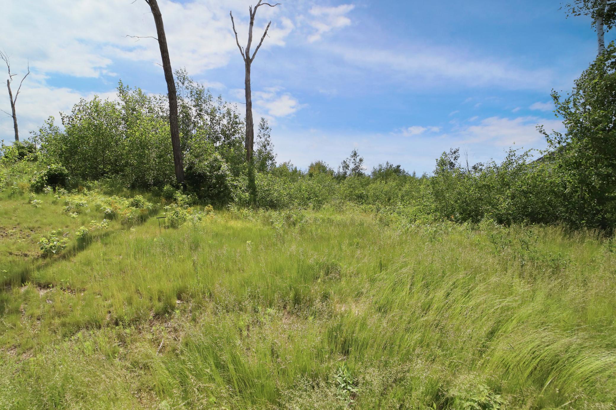 View of Land at 3651 Tradition Drive, Brainerd MN 56401, Brainerd (8 of 19) - Mike Wilen | Minnesota Team Real Estate