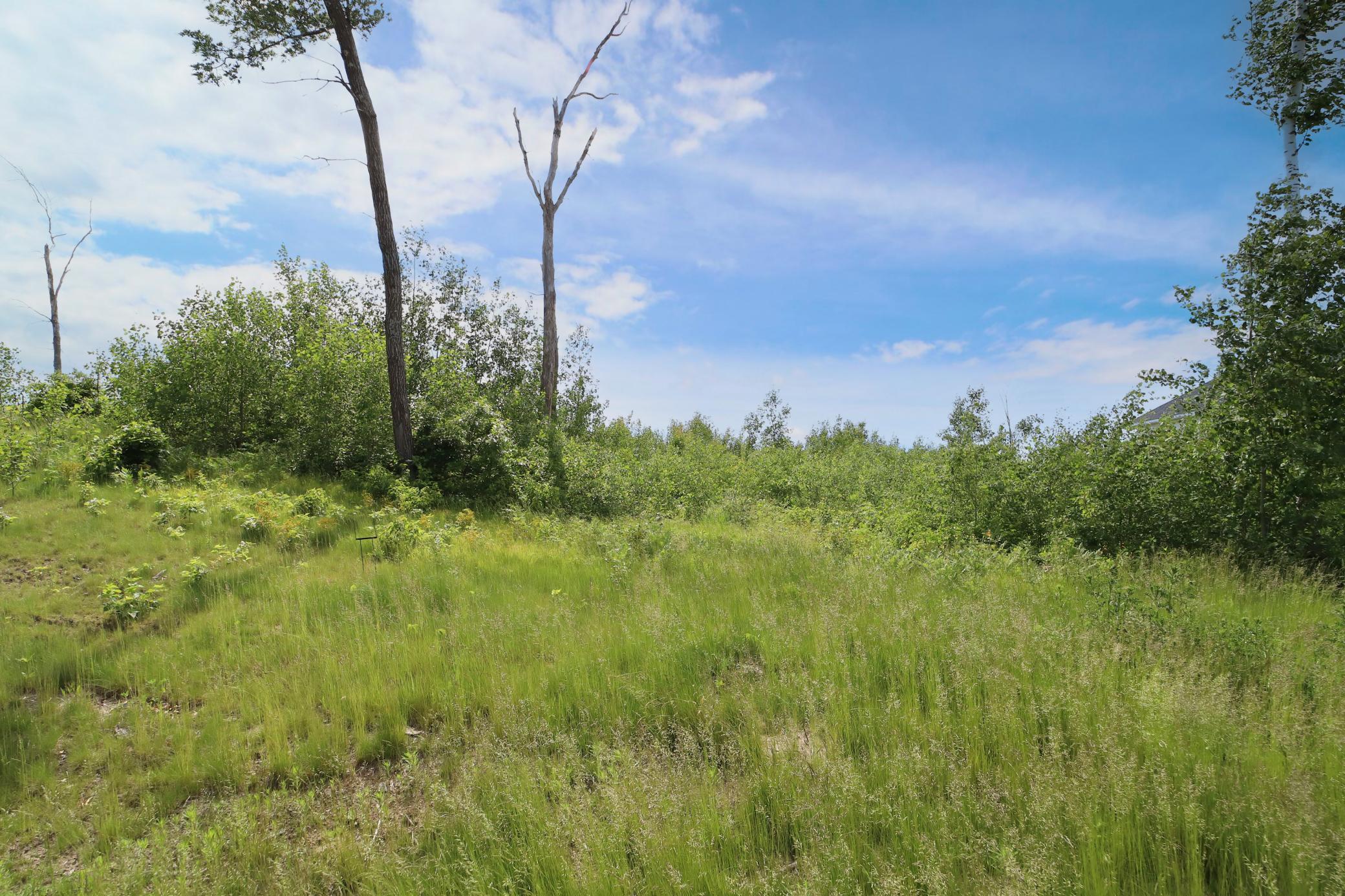 View of Land at 3651 Tradition Drive, Brainerd MN 56401, Brainerd (7 of 19) - Mike Wilen | Minnesota Team Real Estate