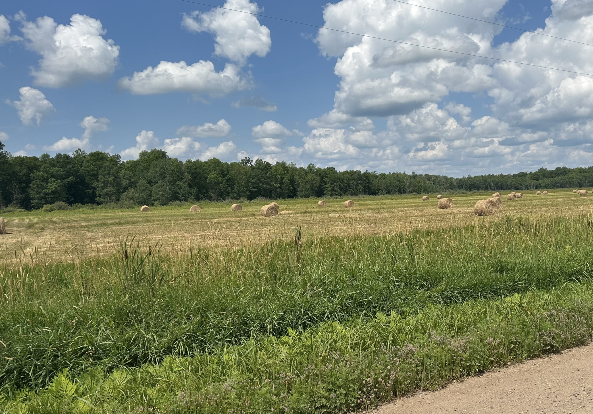 View of Land at Xxxxx 100th Avenue, Onamia MN 56359, Onamia - Mike Wilen | Minnesota Team Real Estate