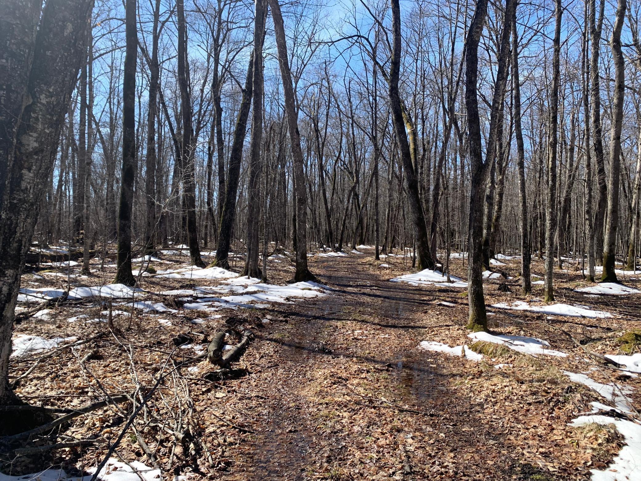 View of Land at XXN Merlin Road, Hillman MN 56338, Hillman - Mike Wilen | Minnesota Team Real Estate