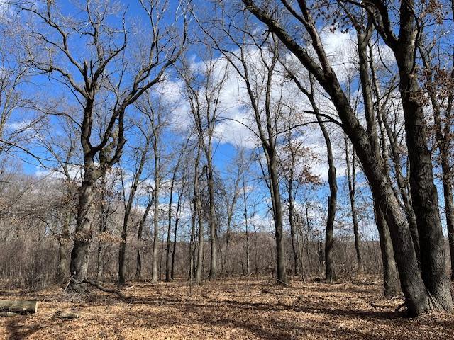 View of Land at 300 241st Lane, East Bethel MN 55005, East Bethel - Mike Wilen | Minnesota Team Real Estate