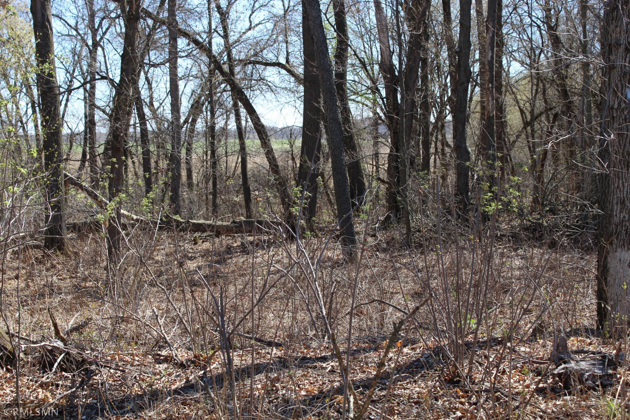 View of Land at 68xx 353rd Avenue, Princeton MN 55371, Princeton - Mike Wilen | Minnesota Team Real Estate