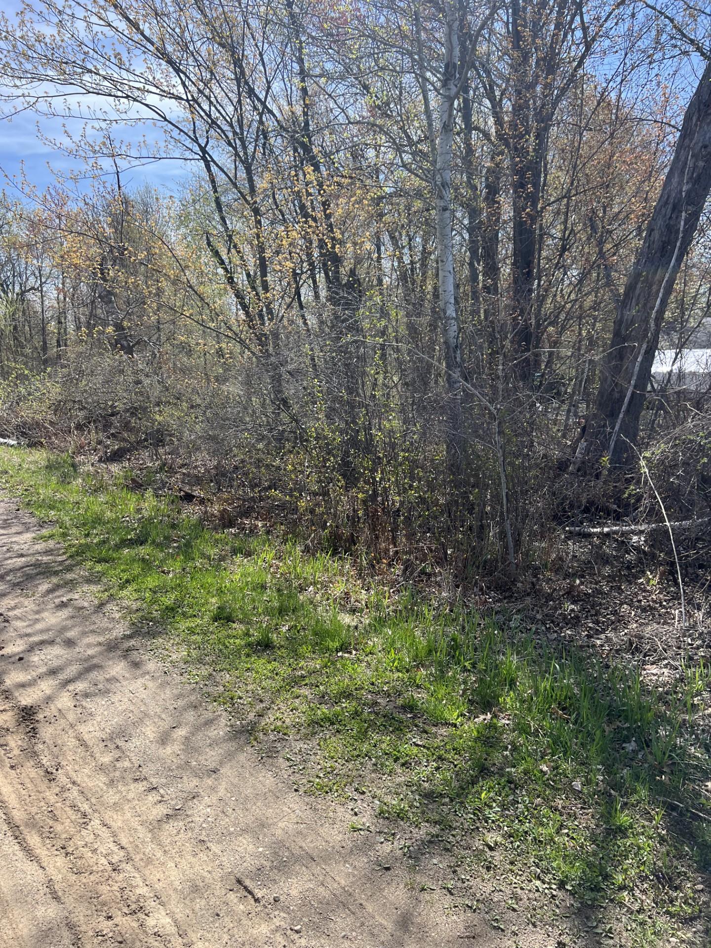 View of Land at XXXXX Lakewood Drive, Isanti MN 55040, Isanti - Mike Wilen | Minnesota Team Real Estate