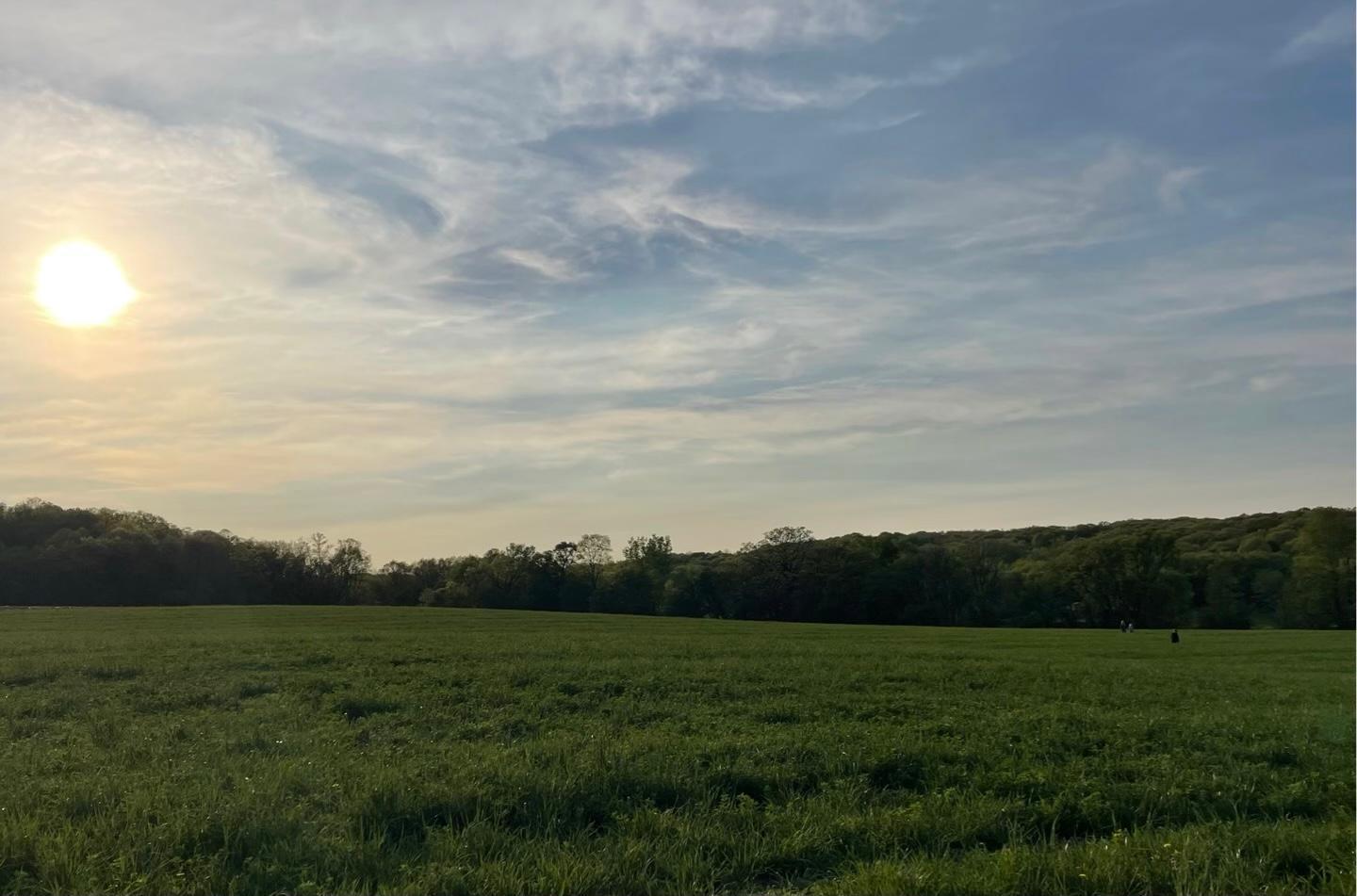 View of Land at 10060 240th Street, Lakeville MN 55044, Lakeville - Mike Wilen | Minnesota Team Real Estate