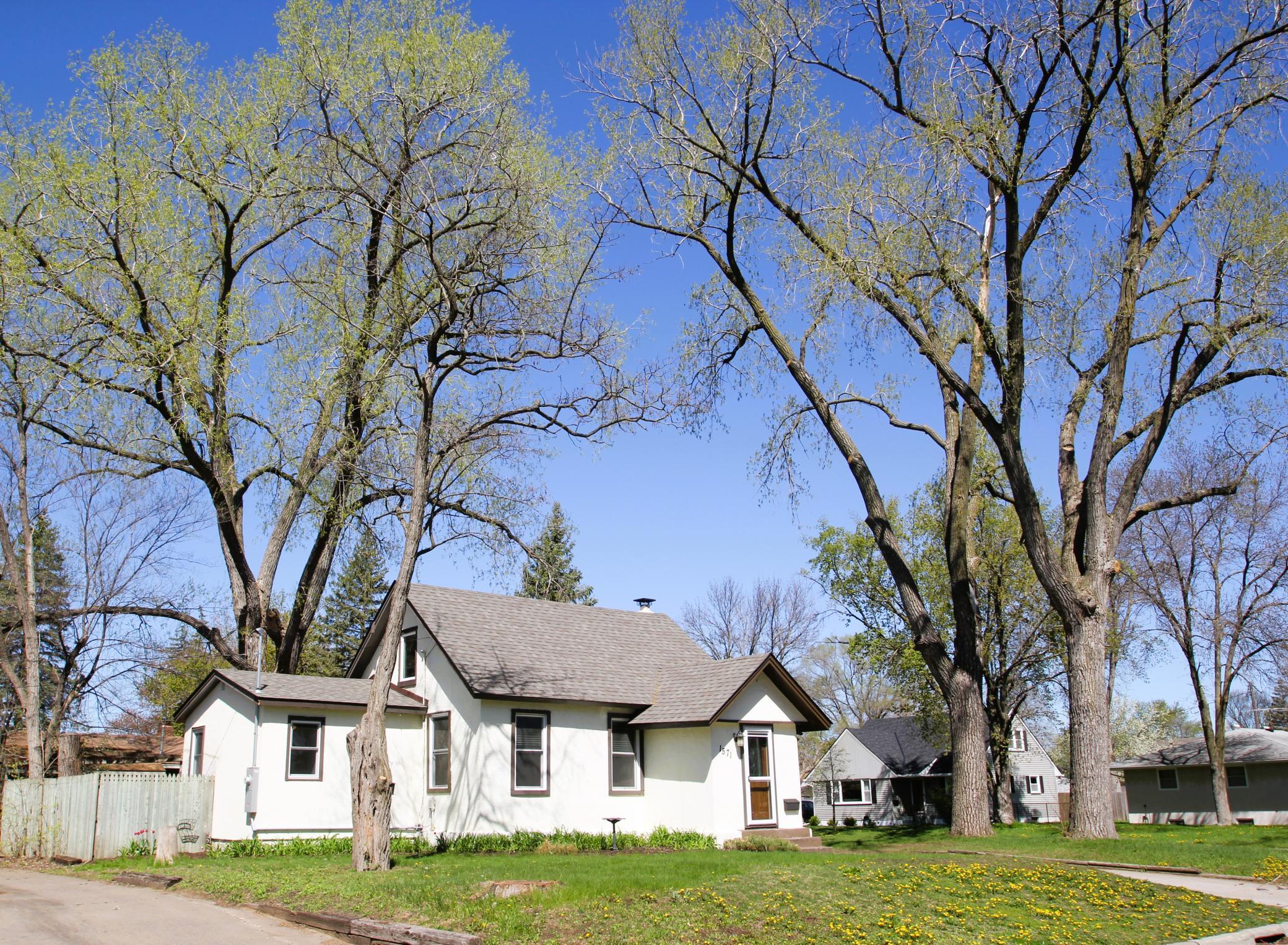 View of Residential at 1571 8th Avenue, Anoka MN 55303, Anoka - Mike Wilen | Minnesota Team Real Estate