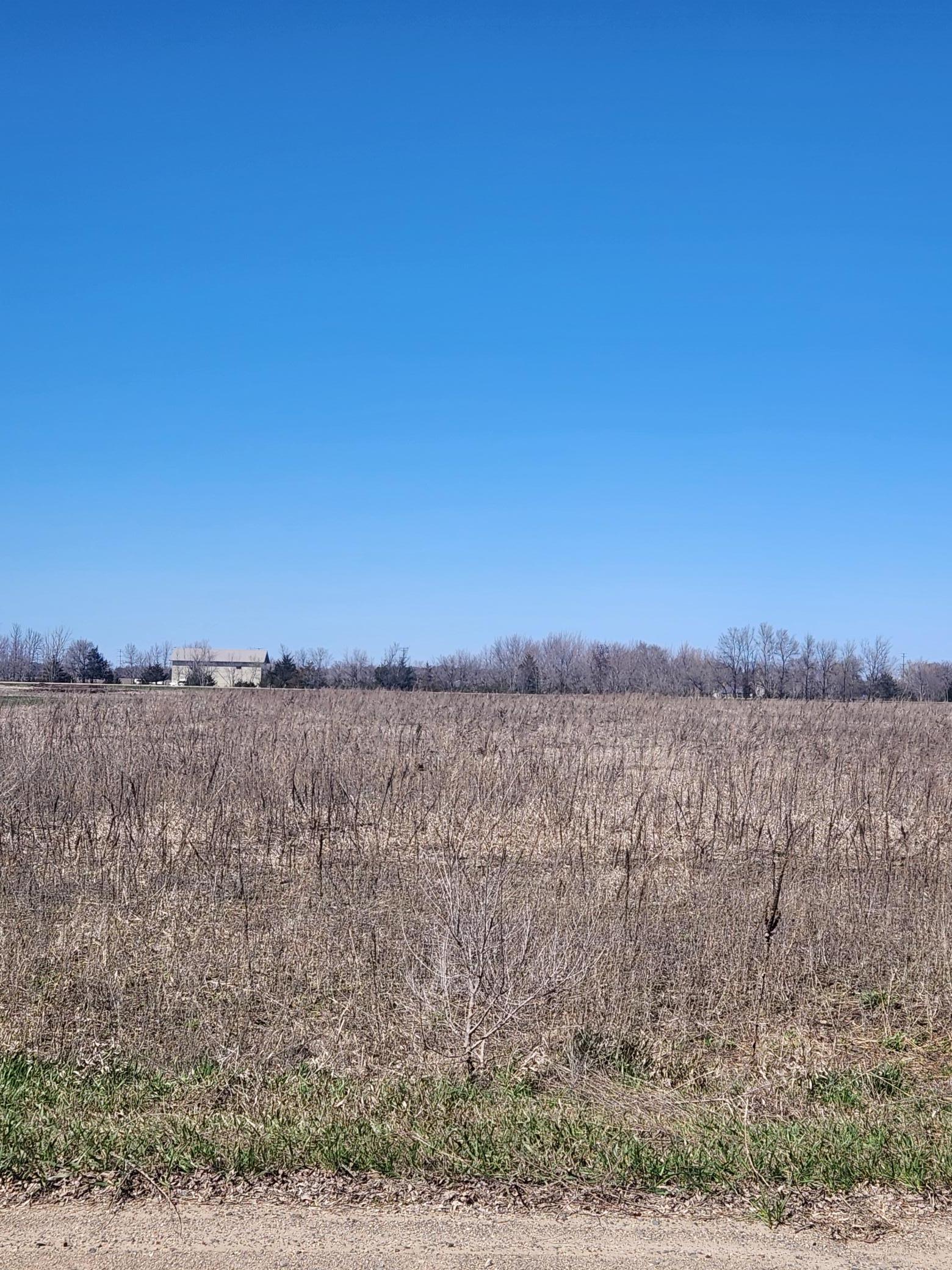 View of Land at xxz Highway 24, Clearwater MN 55320, Clearwater - Mike Wilen | Minnesota Team Real Estate