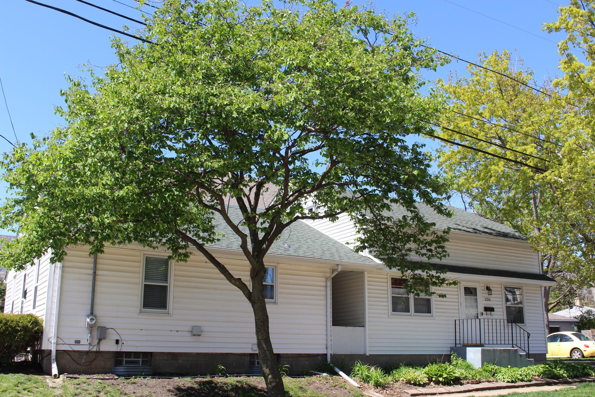 View of Residential Income at 235 Albert Street, Saint Paul MN 55105, Saint Paul - Mike Wilen | Minnesota Team Real Estate