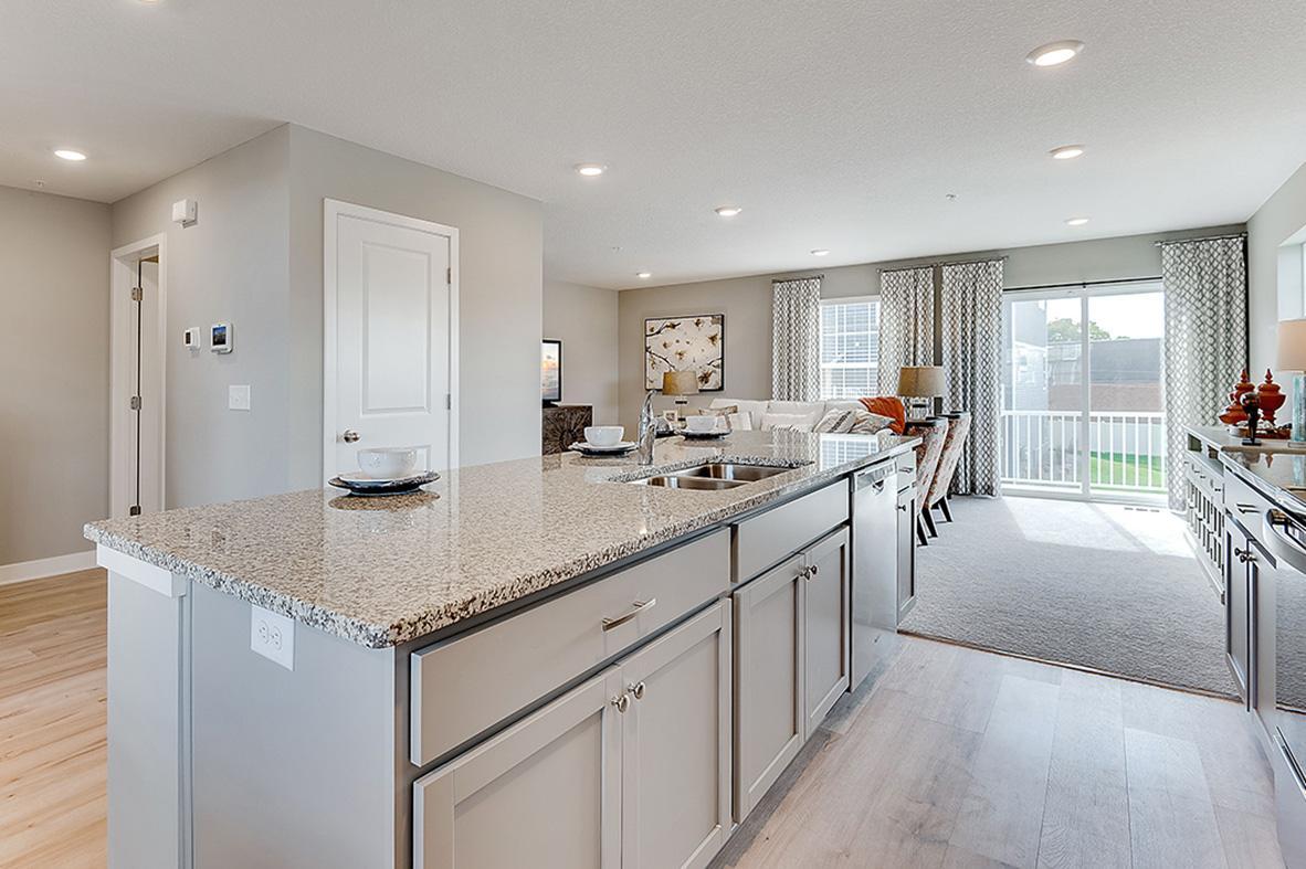 View of Residential at 6500 Hinterland Trail, Cottage Grove MN 55016, Cottage Grove - Mike Wilen | Minnesota Team Real Estate