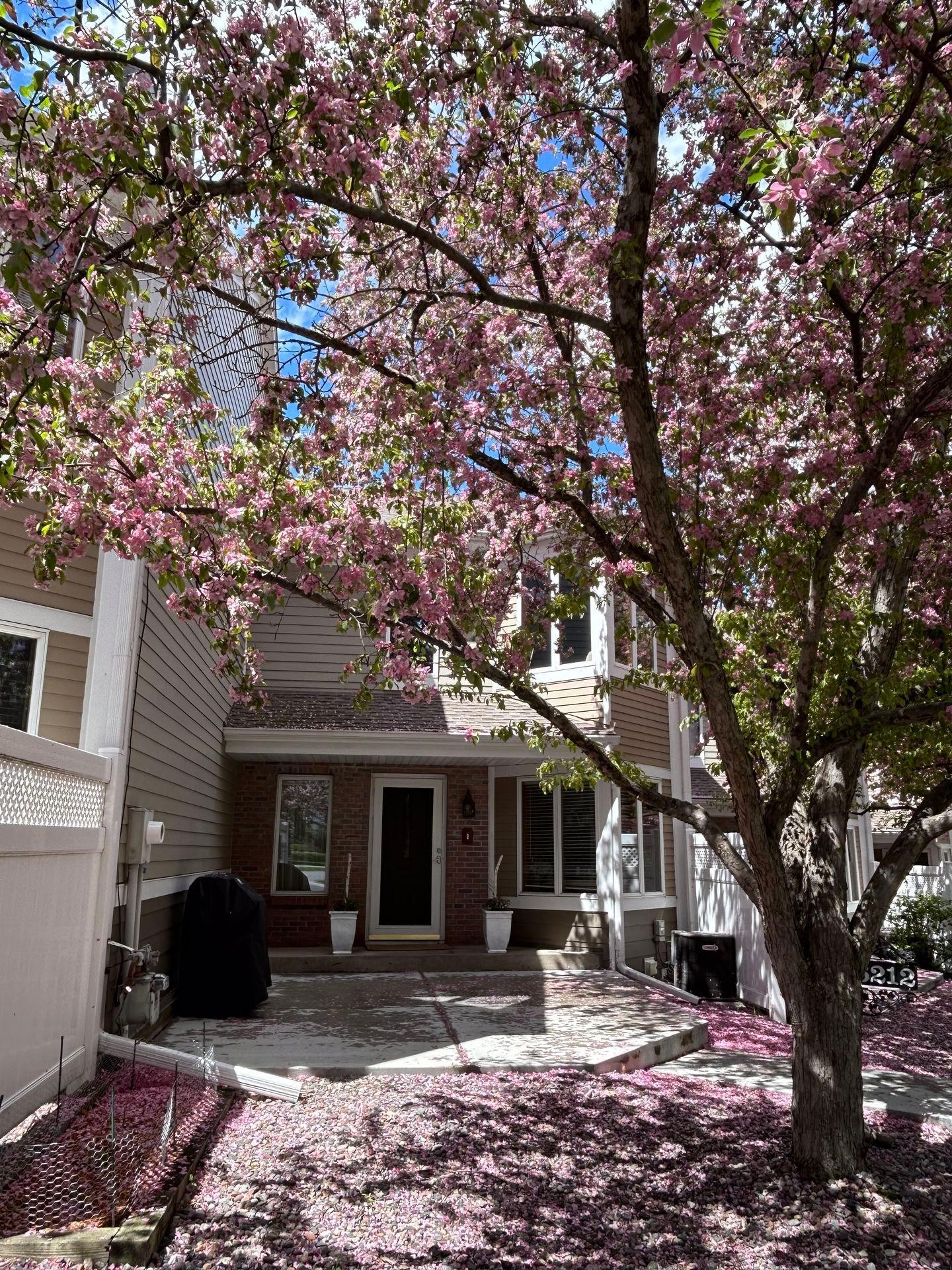 View of Residential at 6212 Vernon Court, Minneapolis MN 55436, Minneapolis - Mike Wilen | Minnesota Team Real Estate