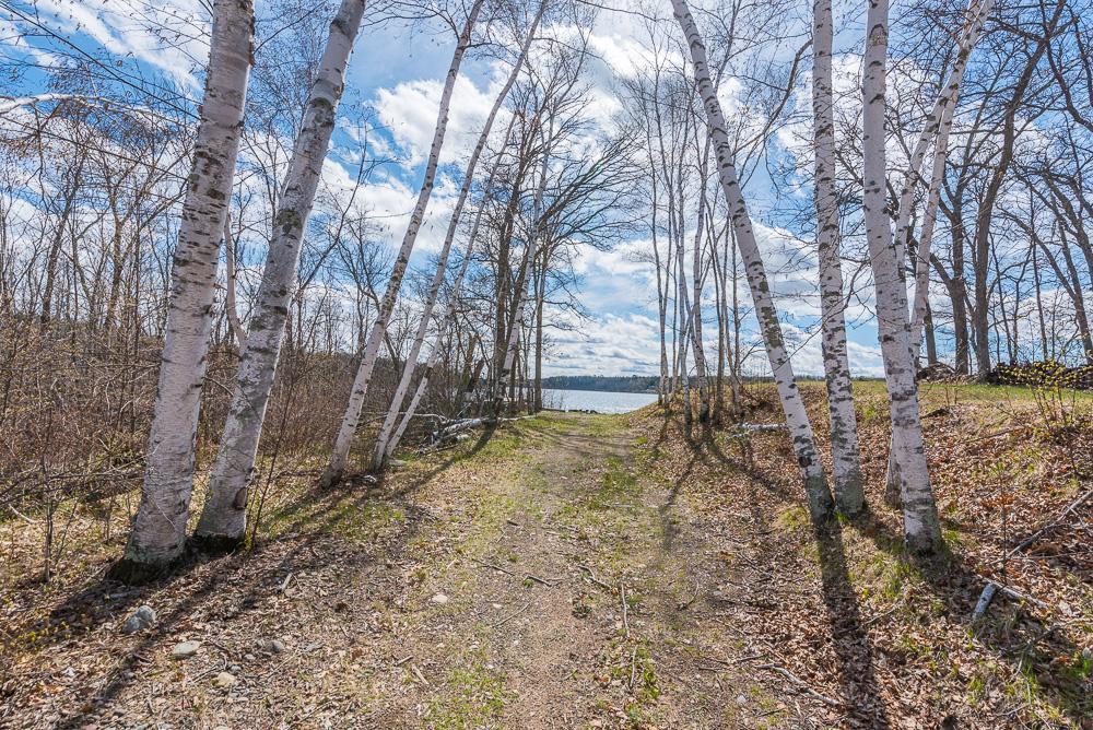 View of Land at TBD - Lot 4 Hurtig Road, Pequot Lakes MN 56472, Pequot Lakes (12 of 24) - Mike Wilen | Minnesota Team Real Estate