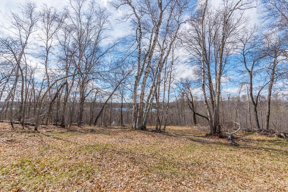 View of Land at TBD - Lot 4 Hurtig Road, Pequot Lakes MN 56472, Pequot Lakes (17 of 24) - Mike Wilen | Minnesota Team Real Estate