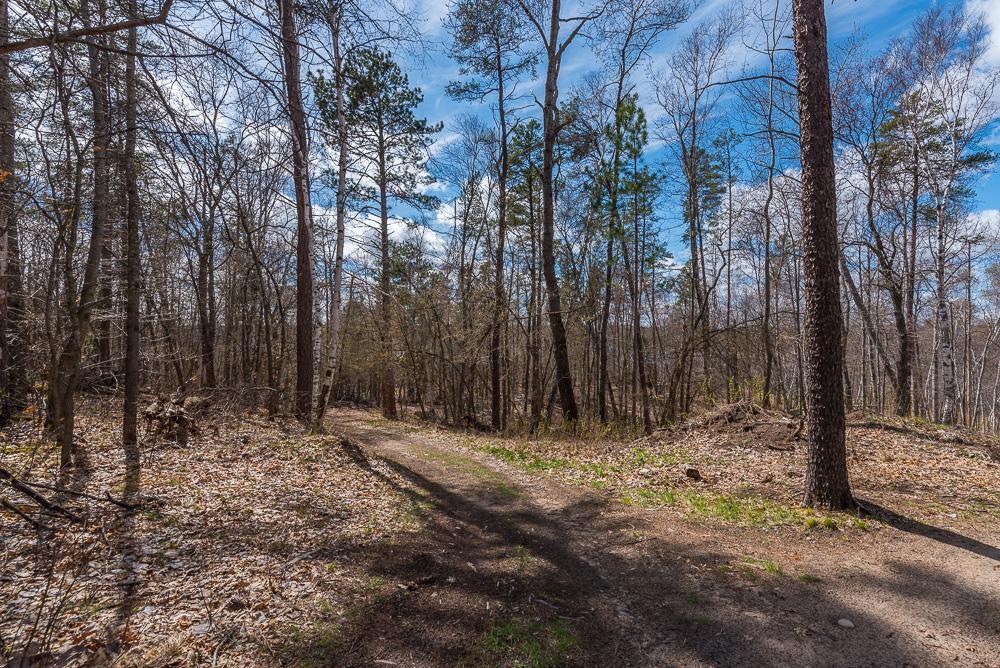 View of Land at TBD - Lot 4 Hurtig Road, Pequot Lakes MN 56472, Pequot Lakes (21 of 24) - Mike Wilen | Minnesota Team Real Estate