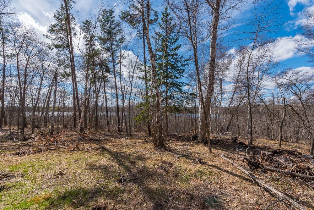 View of Land at TBD - Lot 4 Hurtig Road, Pequot Lakes MN 56472, Pequot Lakes (23 of 24) - Mike Wilen | Minnesota Team Real Estate