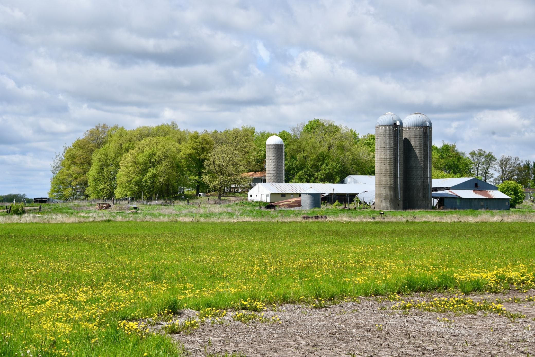 View of Residential at 10108 150th Avenue, Foreston MN 56330, Foreston - Mike Wilen | Minnesota Team Real Estate