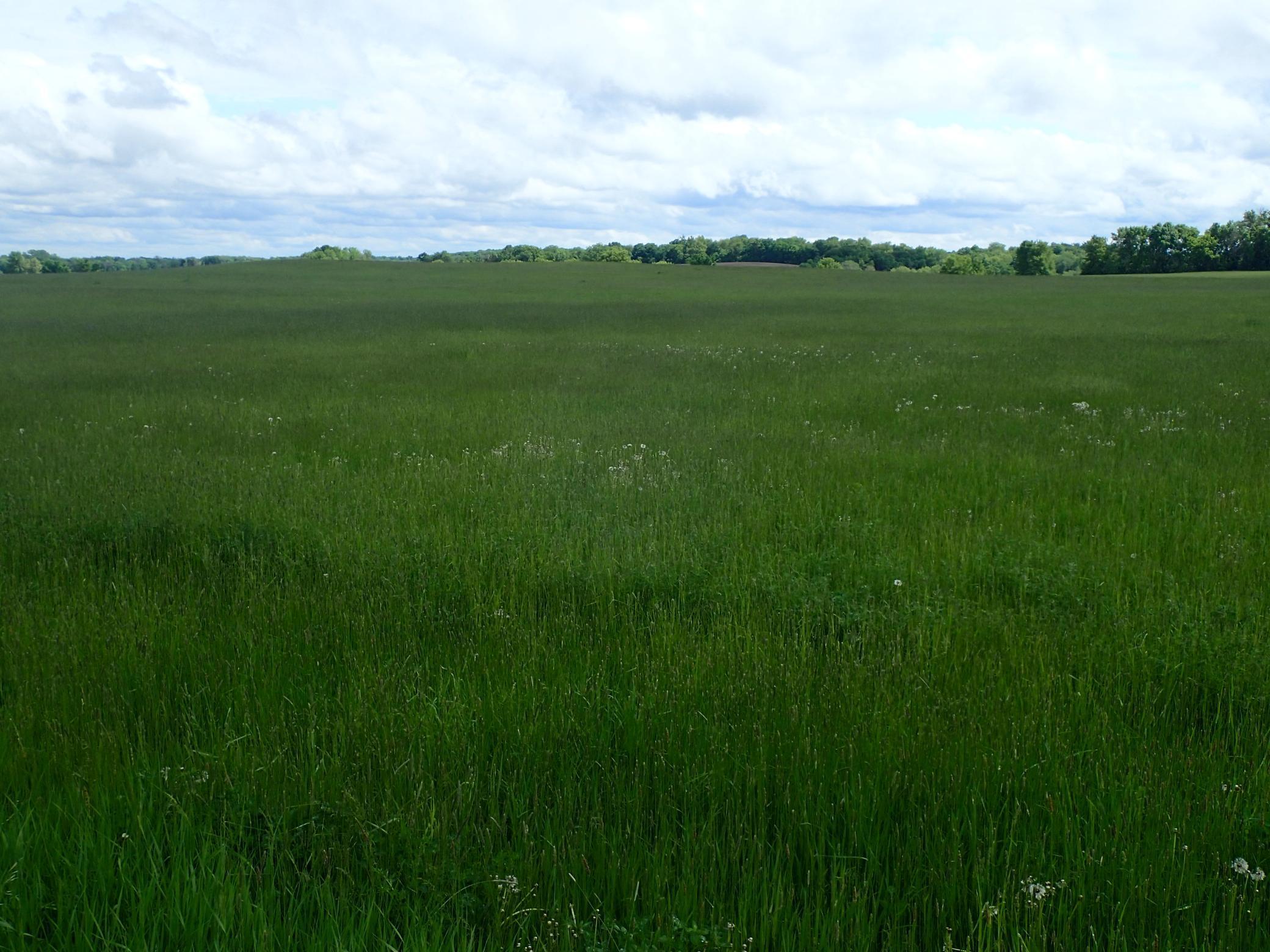 View of Land at xxx65 30th Street, Buffalo MN 55313, Buffalo - Mike Wilen | Minnesota Team Real Estate