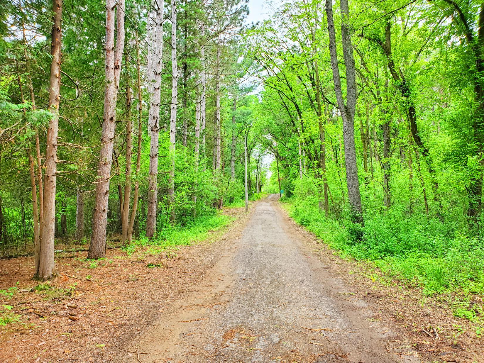 View of Land at XXX lot 1 Chestnut Street, Marine On Saint Croix MN 55047, Marine On Saint Croix - Mike Wilen | Minnesota Team Real Estate