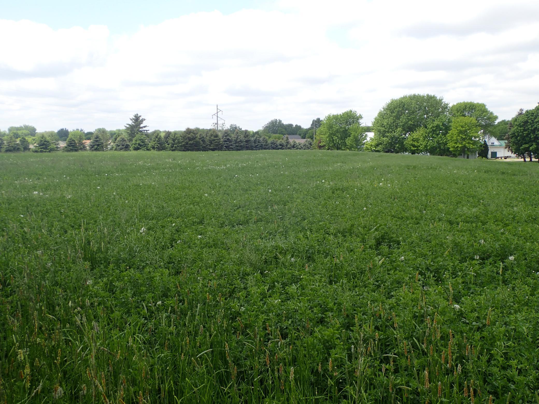 View of Land at 1430 Pulaski Road, Buffalo MN 55313, Buffalo (32 of 35) - Mike Wilen | Minnesota Team Real Estate