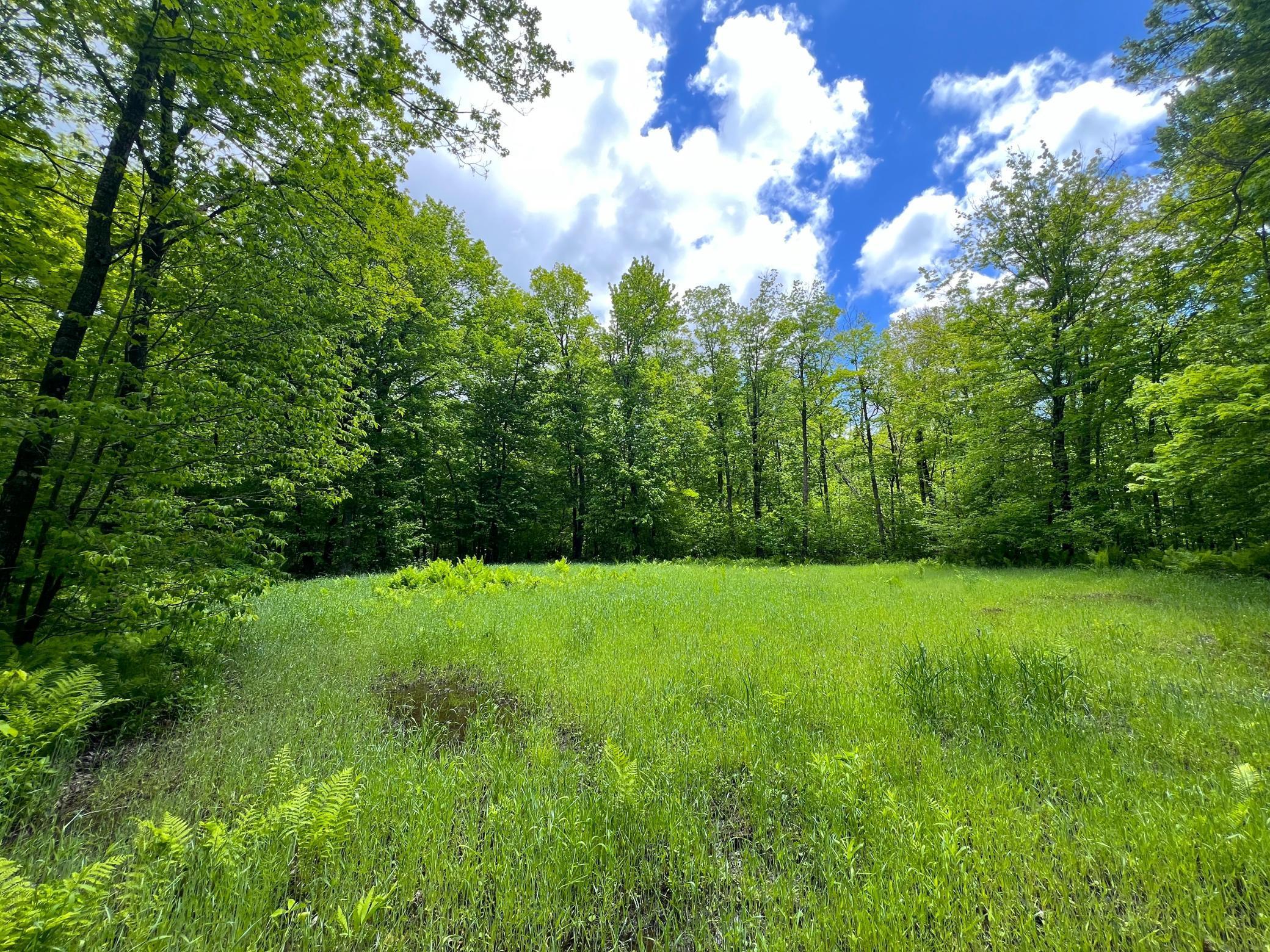 View of Land at XXX Highway 47, Isle MN 56342, Isle - Mike Wilen | Minnesota Team Real Estate