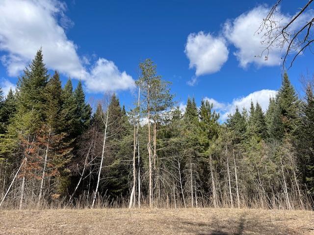View of Land at 23122 Sunrise Road, Linwood Twp MN 55079, Linwood Twp - Mike Wilen | Minnesota Team Real Estate