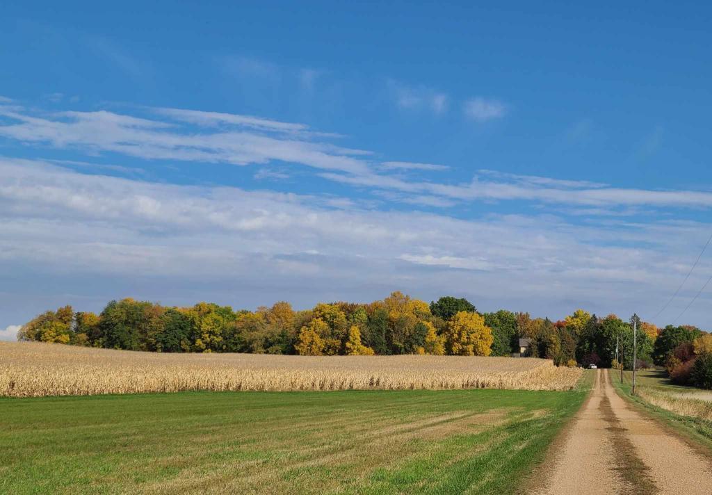 View of Land at 111xx County Rd 152, Cologne MN 55322, Cologne - Mike Wilen | Minnesota Team Real Estate