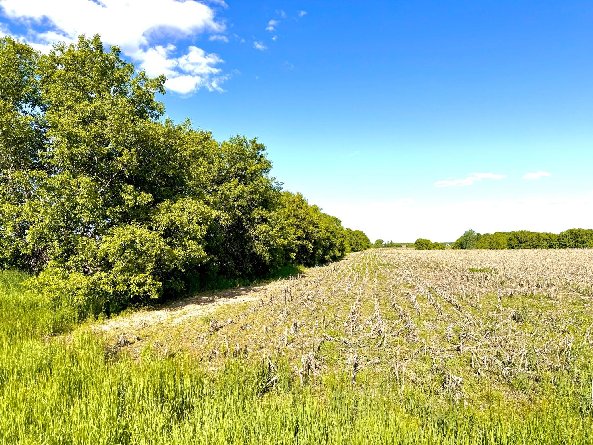 View of Land at TBD- Parcel A 20.07AC 90th Ave, Princeton MN 55371, Princeton - Mike Wilen | Minnesota Team Real Estate