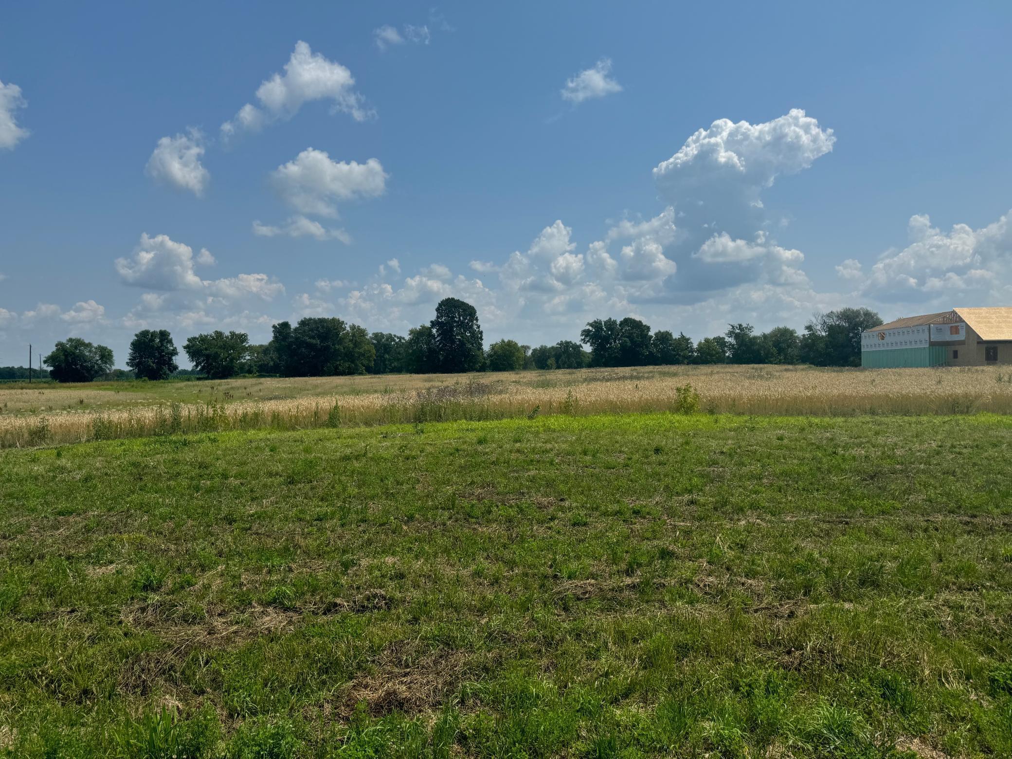 View of Land at 8980 Grace Lane, Greenfield MN 55357, Greenfield - Mike Wilen | Minnesota Team Real Estate