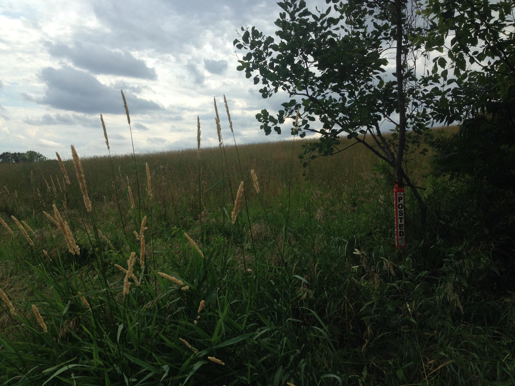 View of Land at XXXX 50th Street, Lake Elmo MN 55042, Lake Elmo - Mike Wilen | Minnesota Team Real Estate