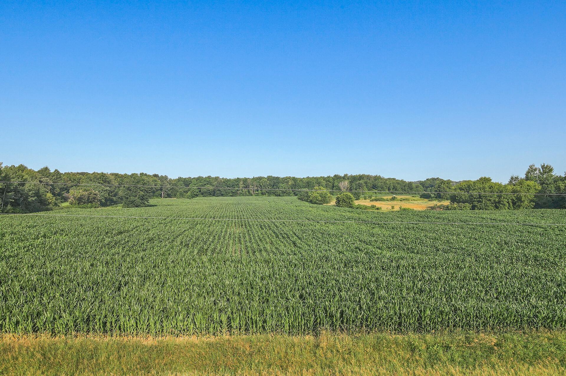 View of Land at xxx 70th, Princeton MN 55371, Princeton - Mike Wilen | Minnesota Team Real Estate