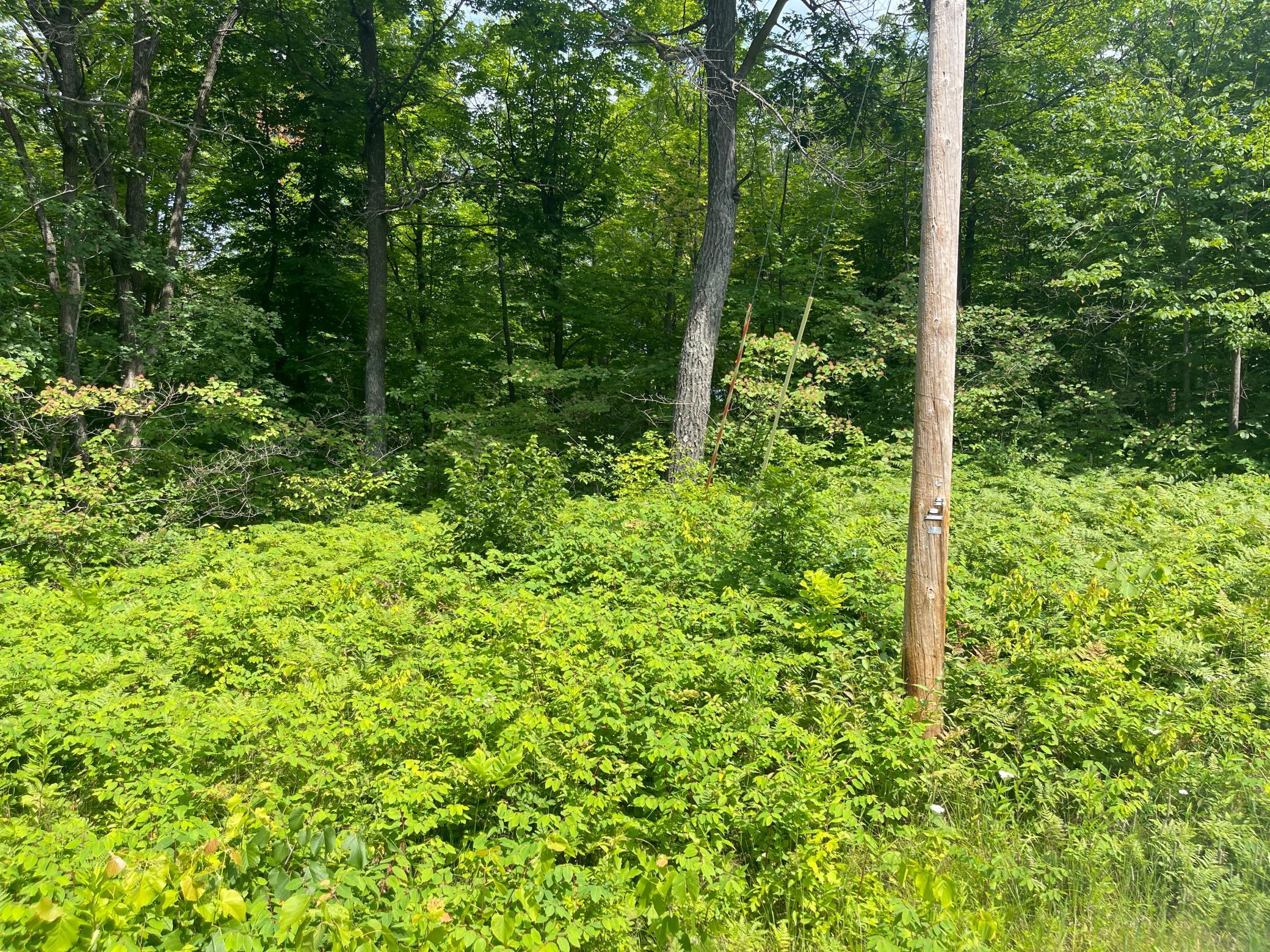 View of Land at TBD Captive Lake Road, Garrison MN 56450, Garrison - Mike Wilen | Minnesota Team Real Estate