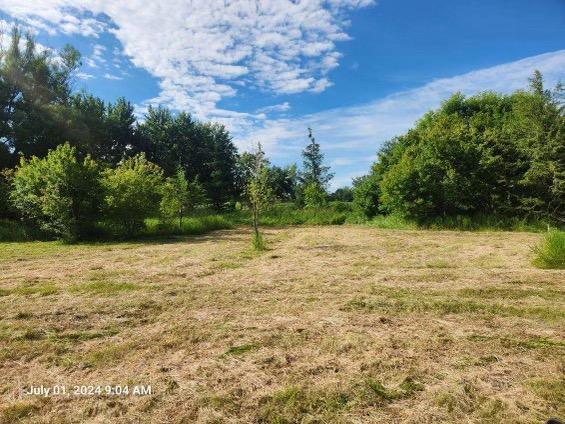 View of Land at 14xxx Oakgreen Circle, Afton MN 55001, Afton - Mike Wilen | Minnesota Team Real Estate