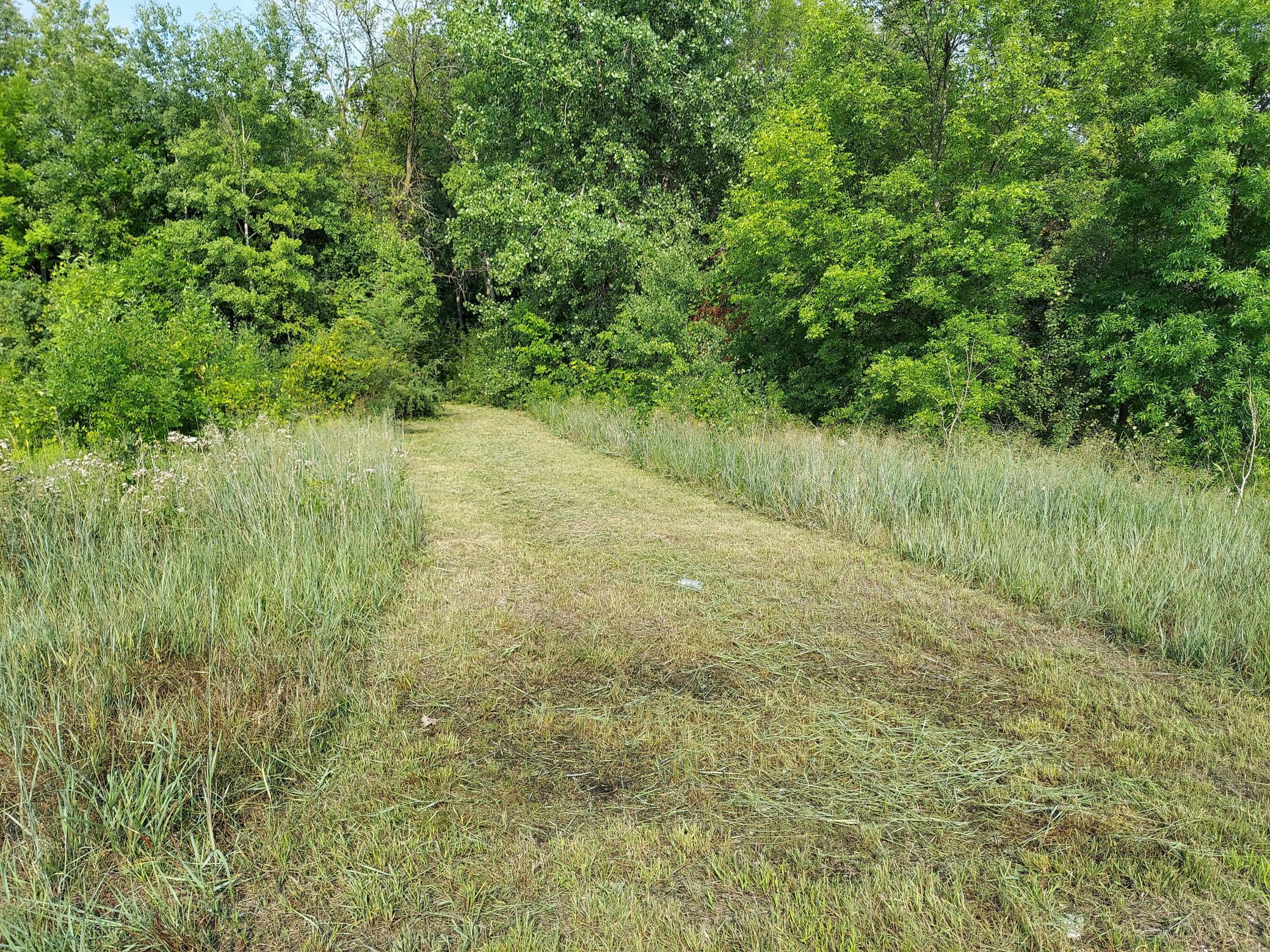 View of Land at 20xxx Greystone Avenue, Forest Lake MN 55025, Forest Lake - Mike Wilen | Minnesota Team Real Estate