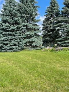 View of Land at 6376 Juneau Lane, Maple Grove MN 55311, Maple Grove - Mike Wilen | Minnesota Team Real Estate