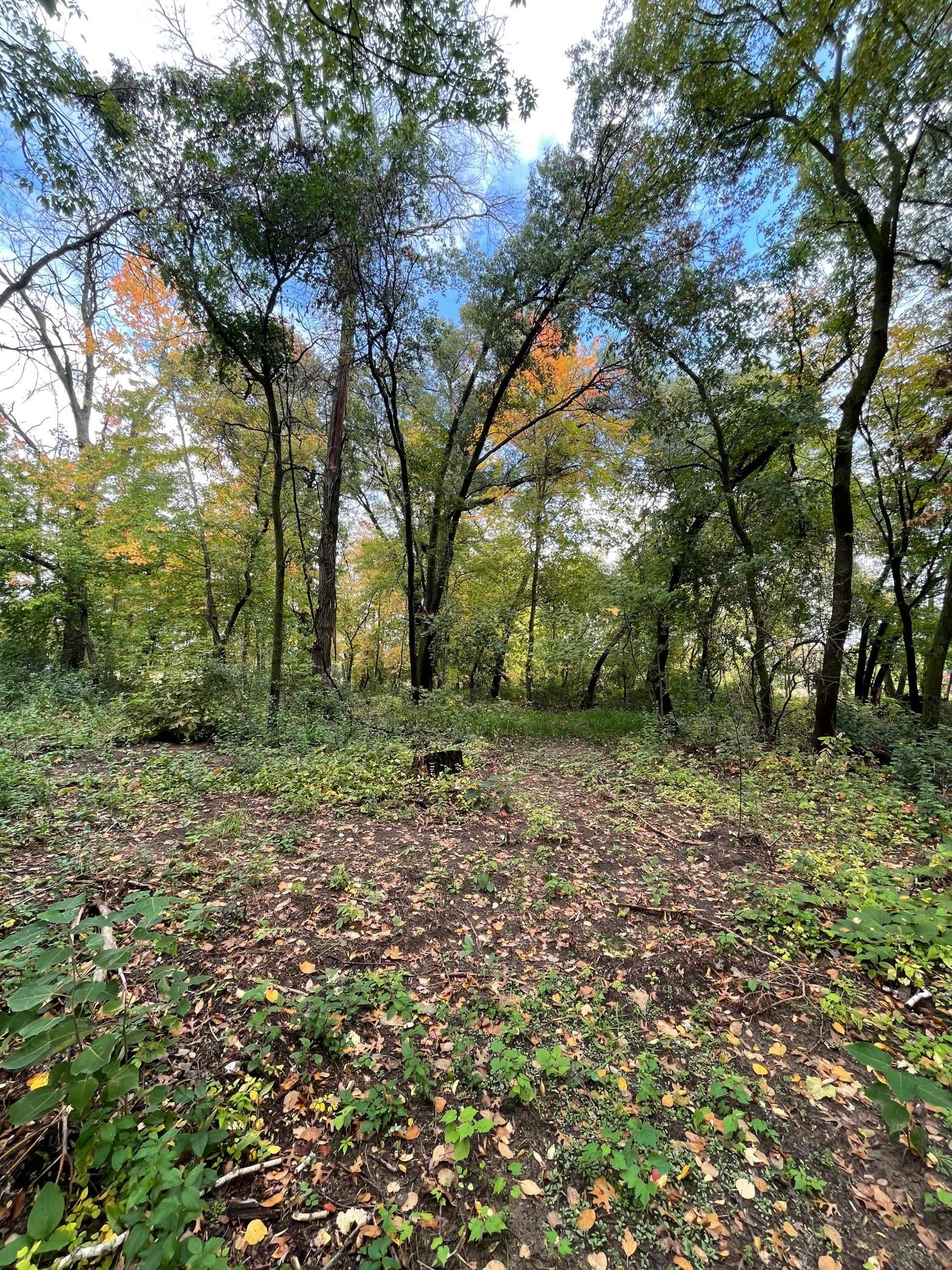 View of Land at xxxx4 Elmcrest Avenue, Stacy MN 55079, Stacy - Mike Wilen | Minnesota Team Real Estate
