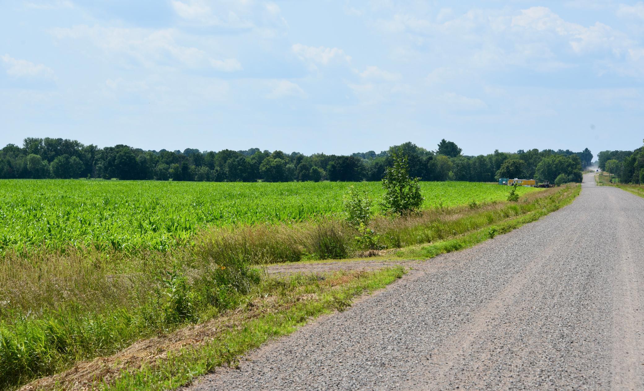 View of Land at XXXXX 110th (Parcel C) Street, Milaca MN 56353, Milaca - Mike Wilen | Minnesota Team Real Estate