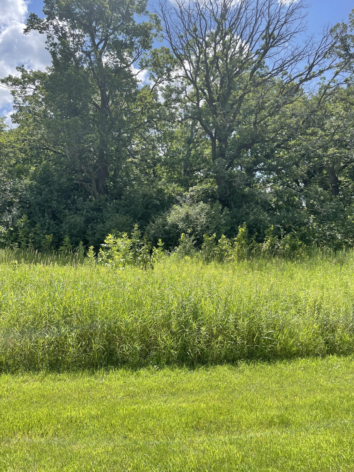 View of Land at 6580 Park Trail Road, Hamel MN 55340, Hamel - Mike Wilen | Minnesota Team Real Estate