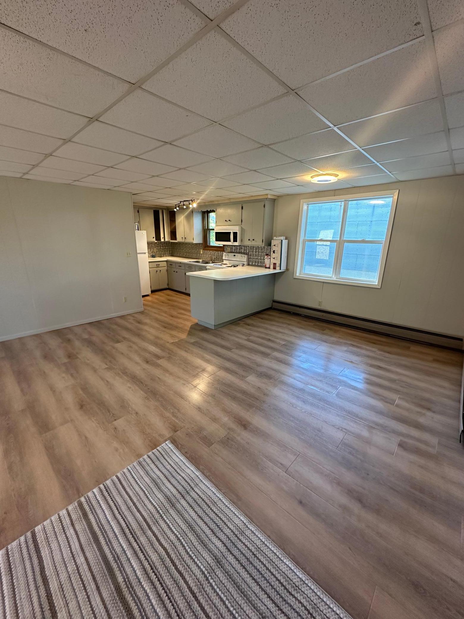 View of Residential Income at 58 Birch Avenue, Maple Lake MN 55358, Maple Lake - Mike Wilen | Minnesota Team Real Estate