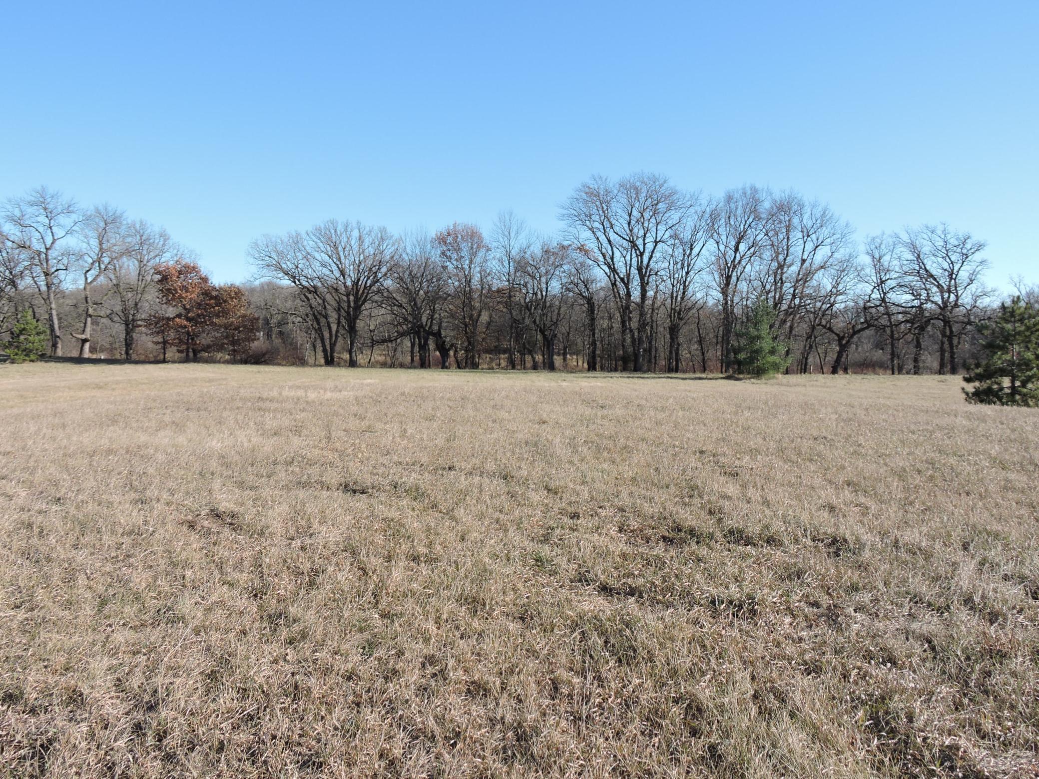 View of Land at 8261 119th Avenue, Clear Lake MN 55319, Clear Lake - Mike Wilen | Minnesota Team Real Estate