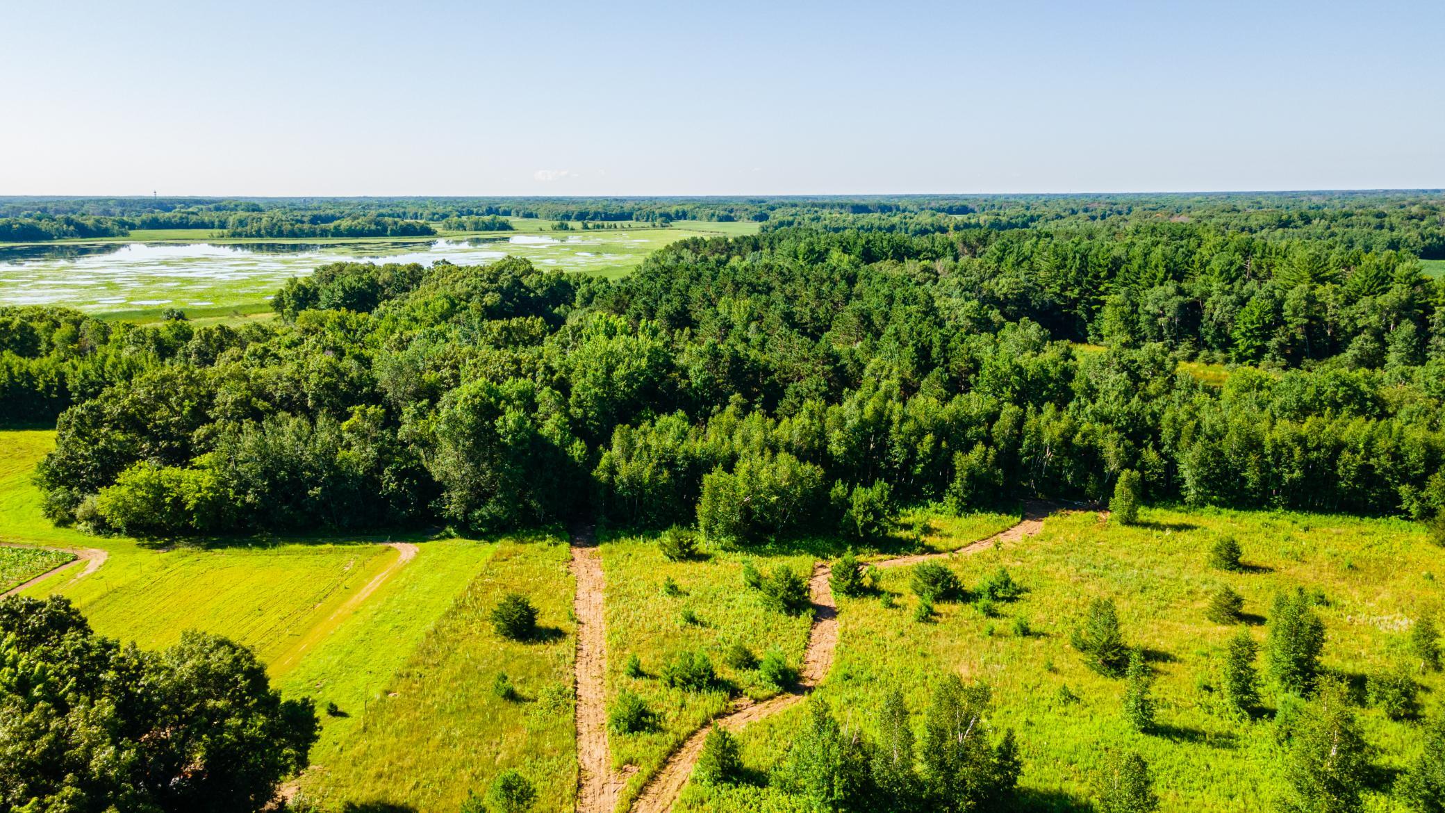 View of Land at 000 261st Ave NE, Isanti MN 55040, Isanti - Mike Wilen | Minnesota Team Real Estate