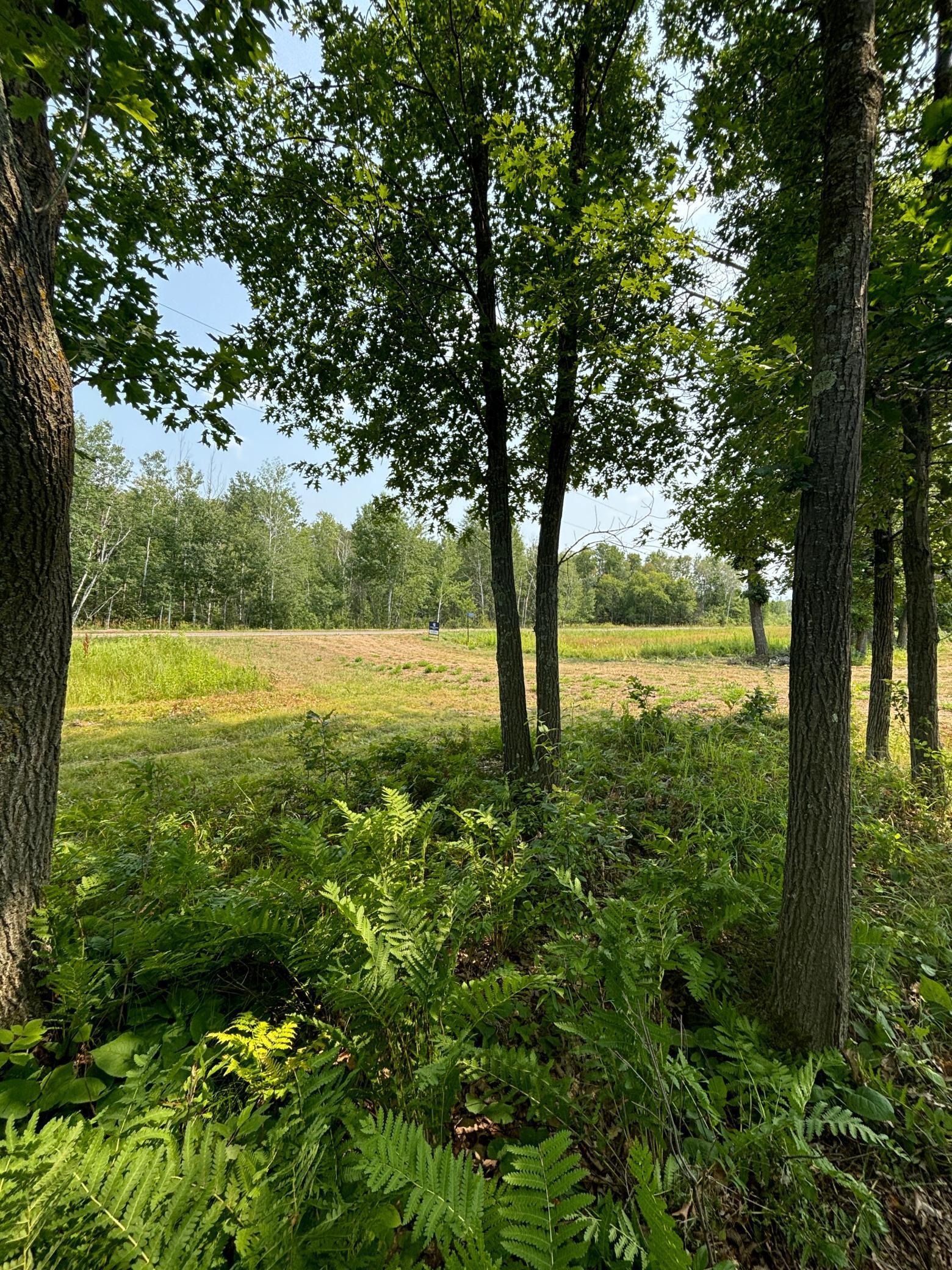 View of Land at 20141 60th Avenue, Milaca MN 56353, Milaca - Mike Wilen | Minnesota Team Real Estate