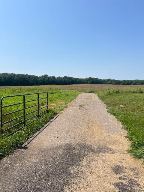 View of Land at xxx Kerry Street, Springvale Twp MN 55008, Springvale Twp - Mike Wilen | Minnesota Team Real Estate