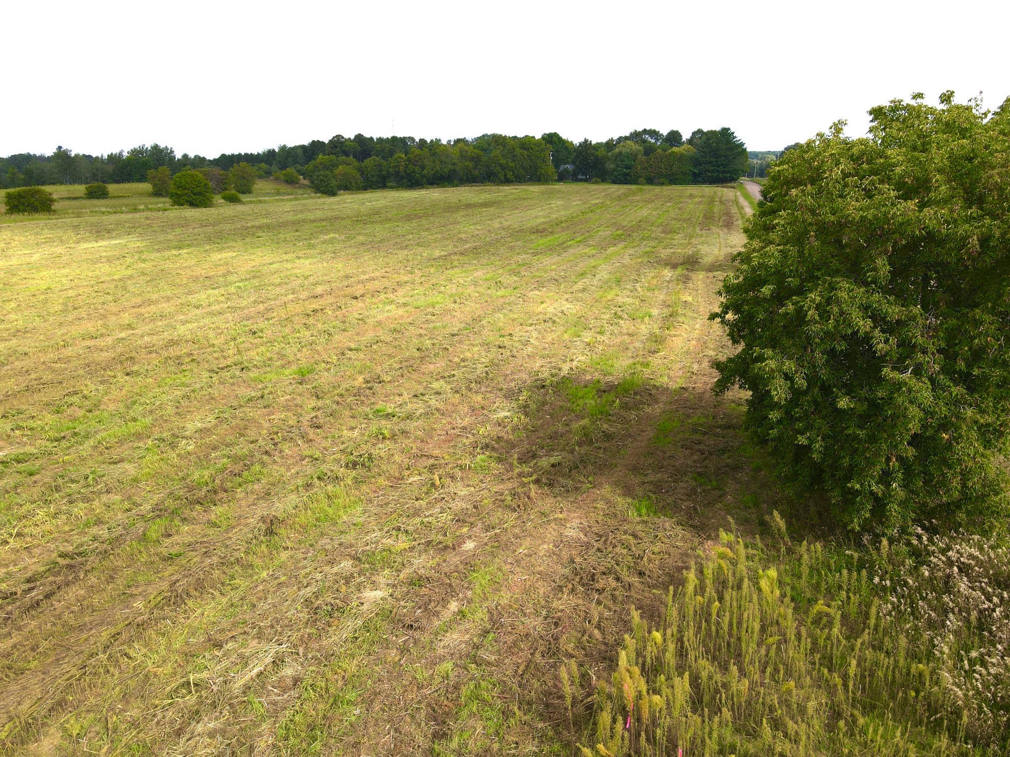 View of Land at TBD-25AC 90th Ave, Princeton MN 55371, Princeton - Mike Wilen | Minnesota Team Real Estate