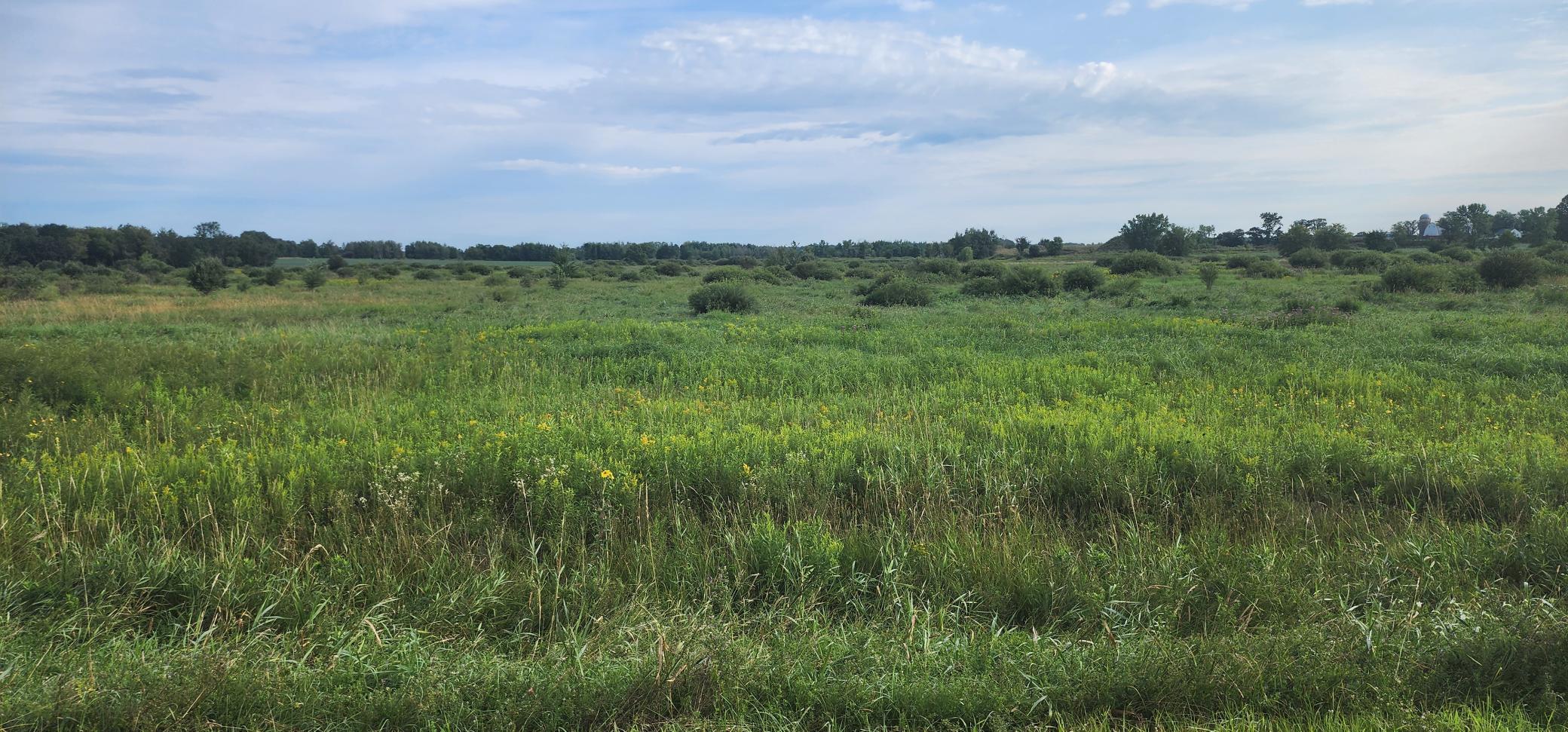 View of Land at 16486 130th st, Foreston MN 56330, Foreston - Mike Wilen | Minnesota Team Real Estate
