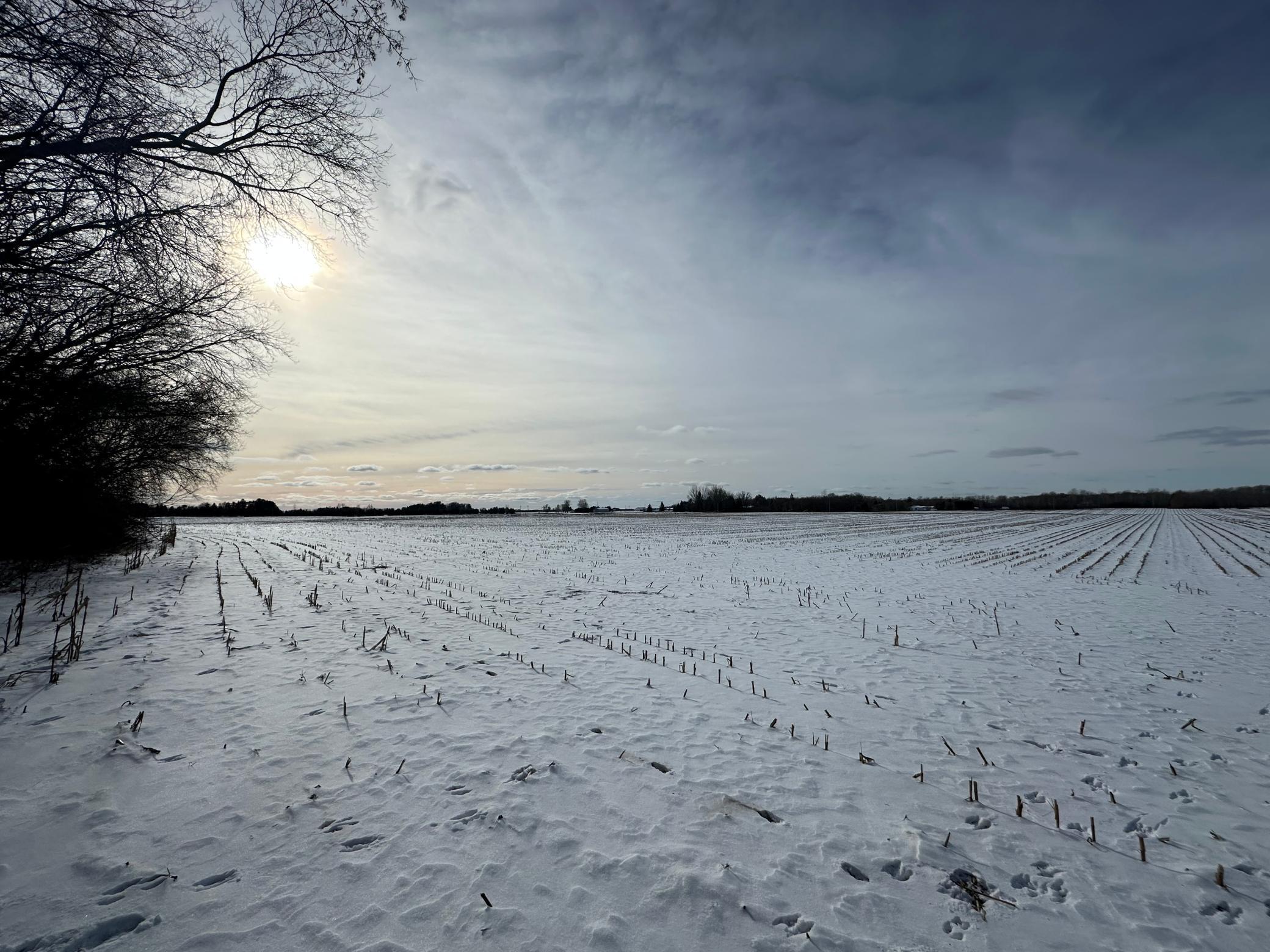 View of Land at 35XXX Vickers Street, Cambridge MN 55008, Cambridge - Mike Wilen | Minnesota Team Real Estate