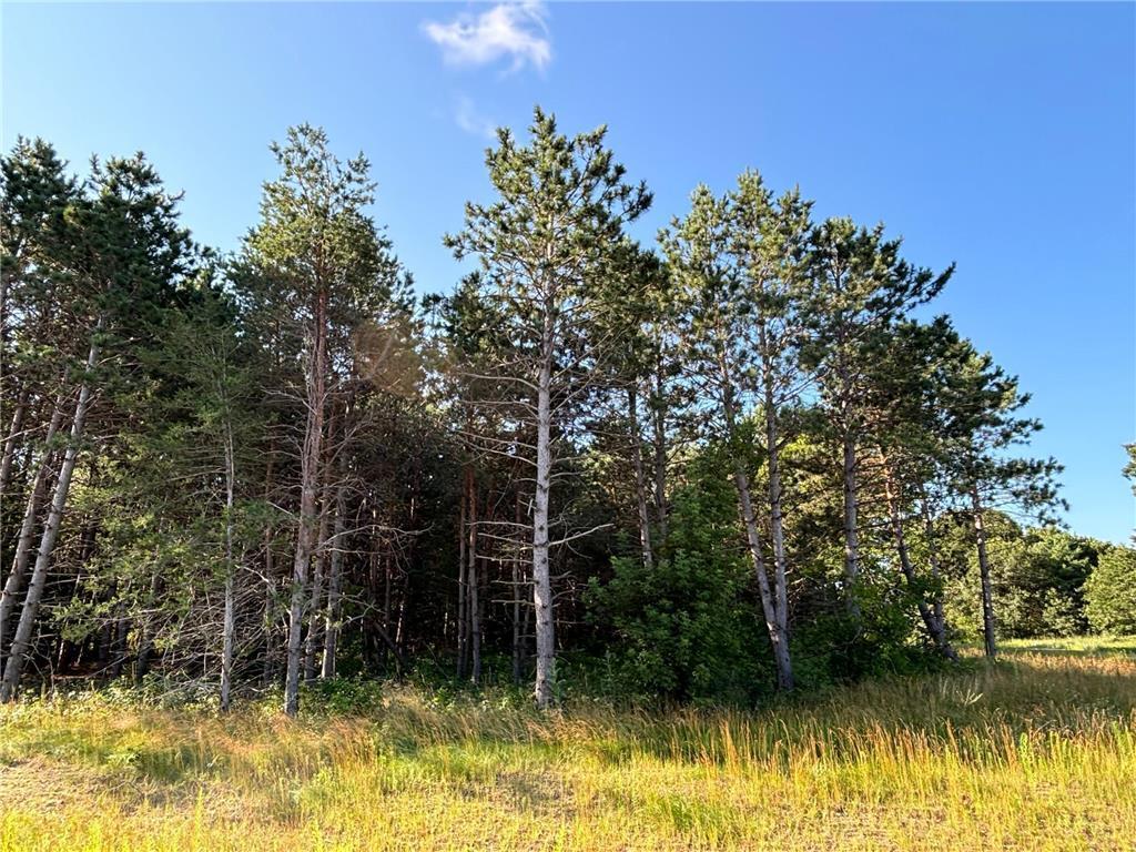 View of Land at L1,Blk2 262nd Avenue, Orrock Twp MN 55309, Orrock Twp - Mike Wilen | Minnesota Team Real Estate