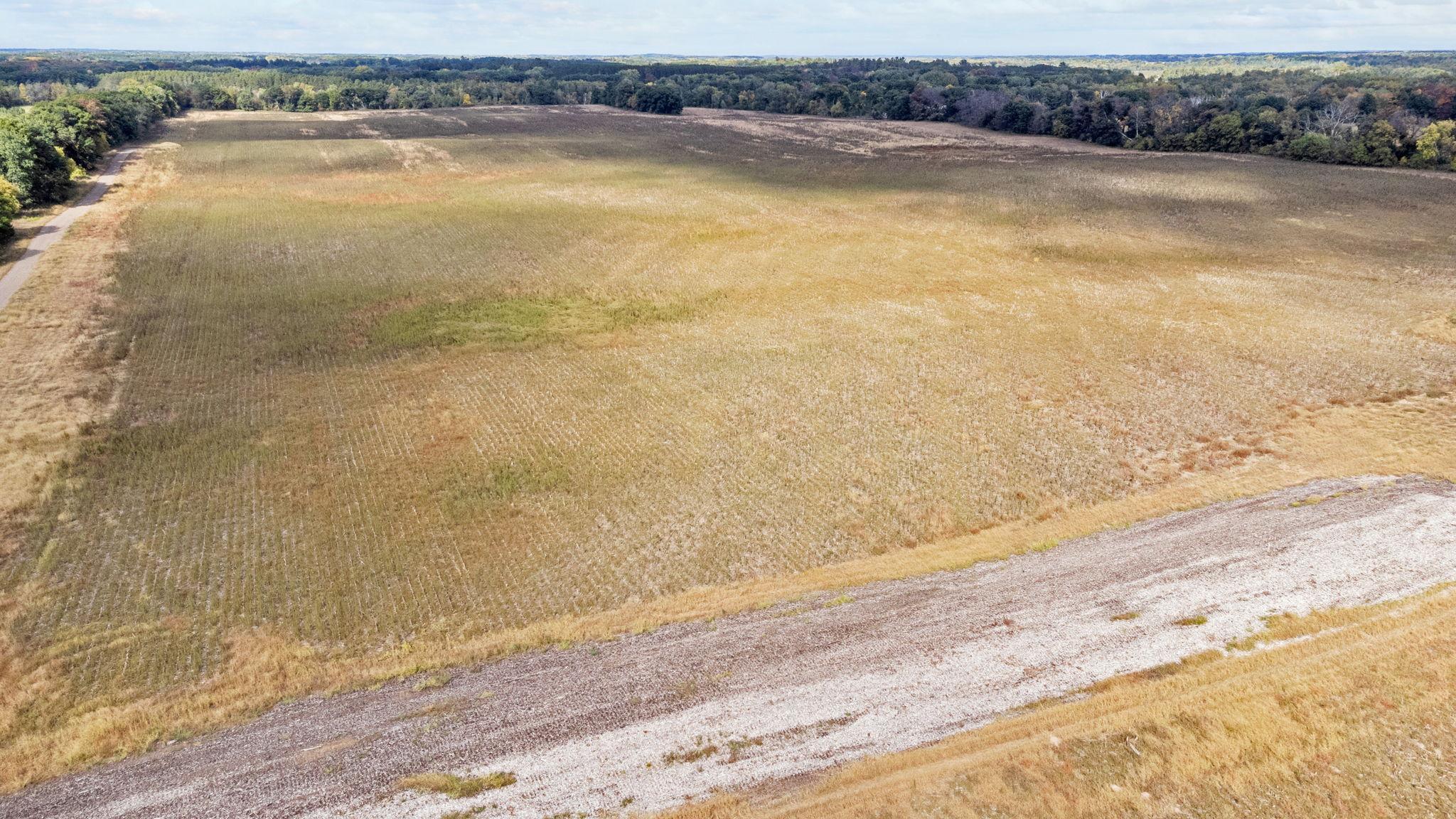 View of Land at XXX (Lot 5) Narcissus Court, Bradford Twp MN 55008, Bradford Twp - Mike Wilen | Minnesota Team Real Estate