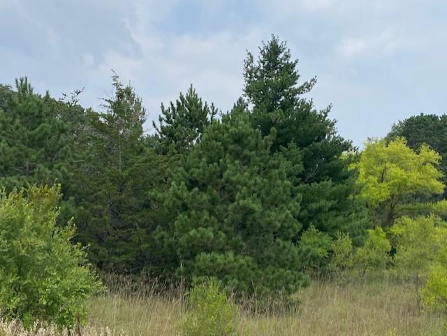 View of Land at XXX 257th Avenue, Big Lake MN 55309, Big Lake - Mike Wilen | Minnesota Team Real Estate